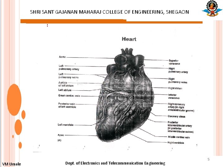 SHRI SANT GAJANAN MAHARAJ COLLEGE OF ENGINEERING, SHEGAON : VM Umale Dept. of Electronics