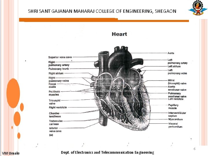 SHRI SANT GAJANAN MAHARAJ COLLEGE OF ENGINEERING, SHEGAON : VM Umale Dept. of Electronics