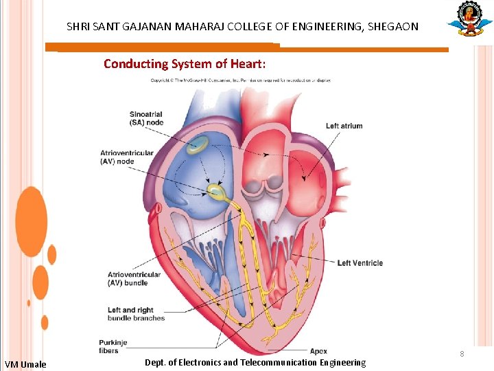 SHRI SANT GAJANAN MAHARAJ COLLEGE OF ENGINEERING, SHEGAON Conducting System of Heart: VM Umale