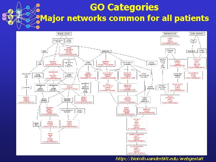 GO Categories Major networks common for all patients http: //bioinfo. vanderbilt. edu/webgestalt 