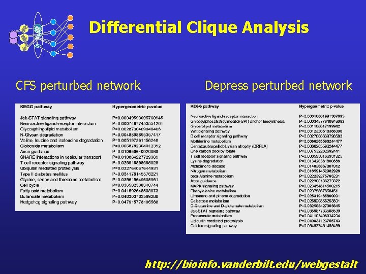 Differential Clique Analysis CFS perturbed network Depress perturbed network http: //bioinfo. vanderbilt. edu/webgestalt 