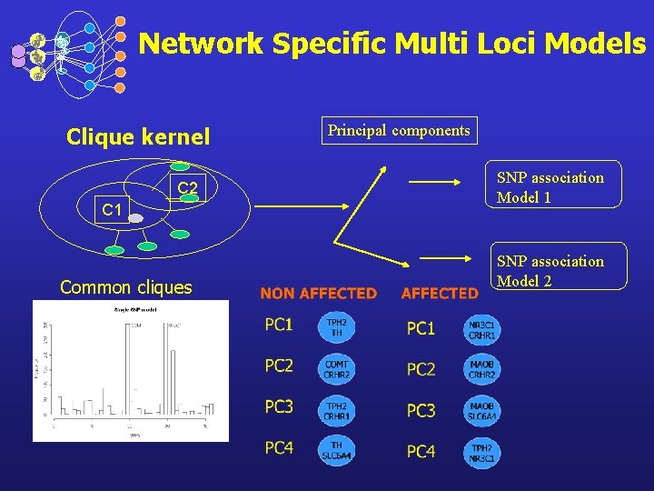 Network Specific Multi Loci Models Clique kernel C 2 C 1 Common cliques Principal