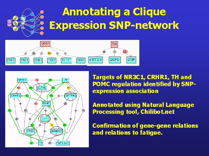 Annotating a Clique Expression SNP-network Targets of NR 3 C 1, CRHR 1, TH