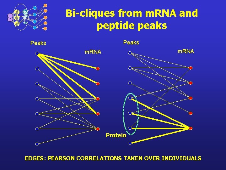 Bi-cliques from m. RNA and peptide peaks Peaks m. RNA Protein EDGES: PEARSON CORRELATIONS