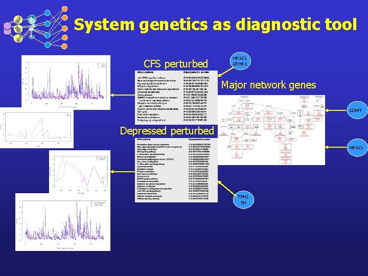 System genetics as diagnostic tool CFS perturbed NR 3 C 1 CRHR 1 Major