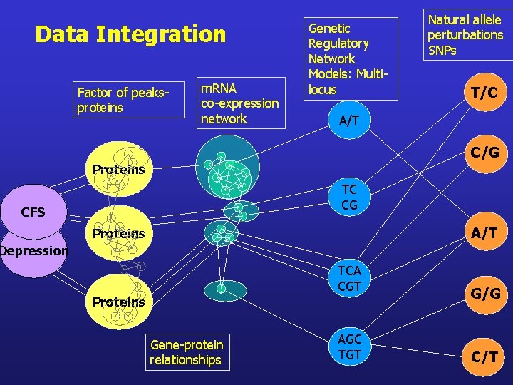 Data Integration Factor of peaksproteins m. RNA co-expression network Genetic Regulatory Network Models: Multilocus