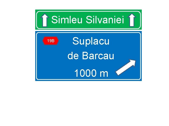 Simleu Silvaniei 19 B Suplacu de Barcau 1000 m 