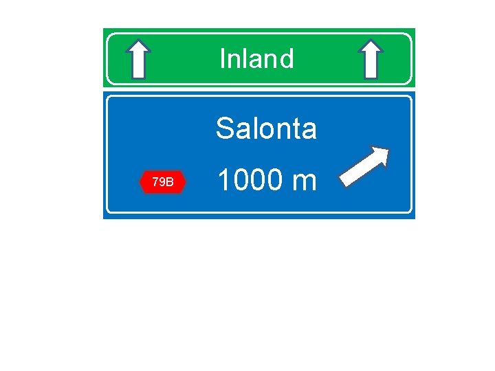 Inland Salonta 79 B 1000 m 