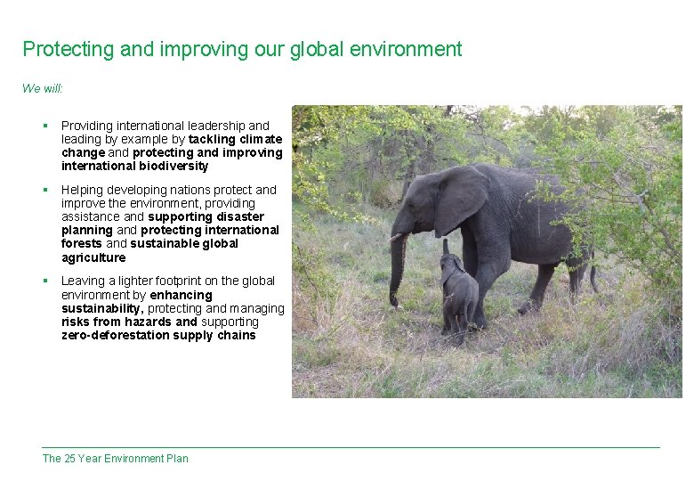 Protecting and improving our global environment We will: § Providing international leadership and leading