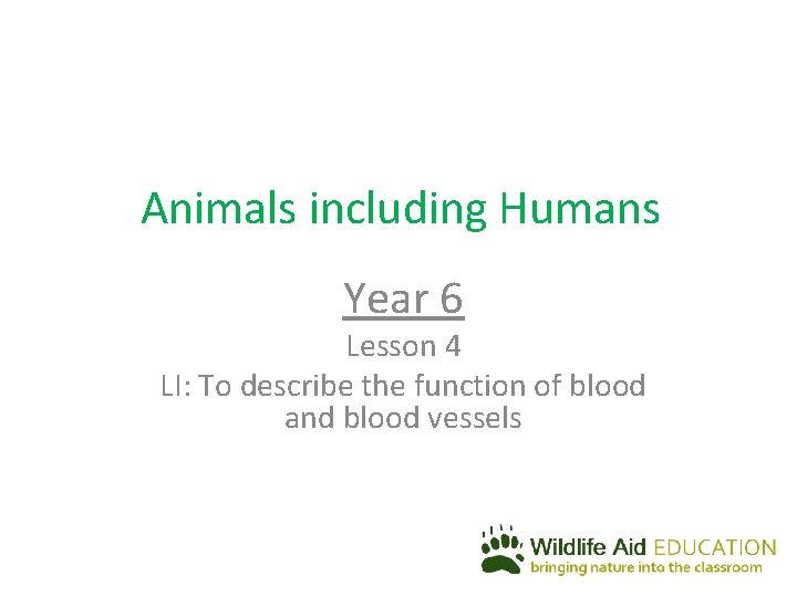 Animals including Humans Year 6 Lesson 4 LI: To describe the function of blood