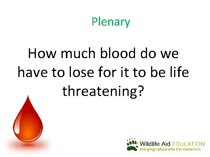 Plenary How much blood do we have to lose for it to be life