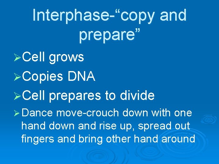 Interphase-“copy and prepare” ØCell grows ØCopies DNA ØCell prepares to divide Ø Dance move-crouch