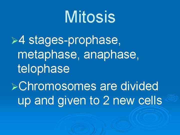 Mitosis Ø 4 stages-prophase, metaphase, anaphase, telophase ØChromosomes are divided up and given to