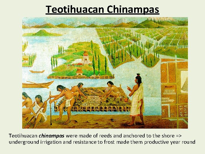 Teotihuacan Chinampas Teotihuacan chinampas were made of reeds and anchored to the shore =>