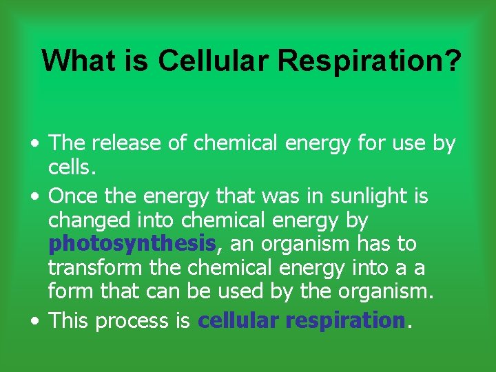 What is Cellular Respiration? • The release of chemical energy for use by cells.