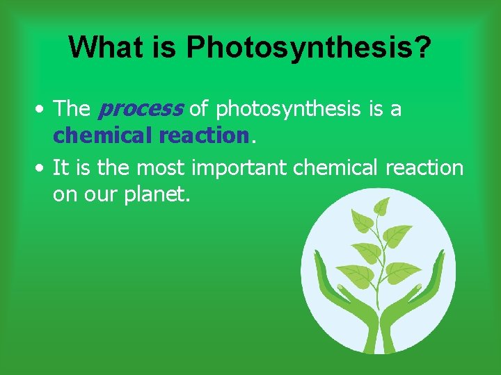 What is Photosynthesis? • The process of photosynthesis is a chemical reaction. • It