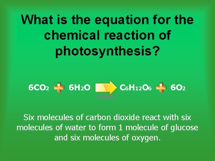 What is the equation for the chemical reaction of photosynthesis? 6 CO 2 6