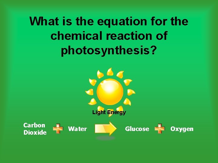 What is the equation for the chemical reaction of photosynthesis? Light Energy Carbon Dioxide