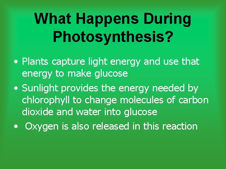 What Happens During Photosynthesis? • Plants capture light energy and use that energy to