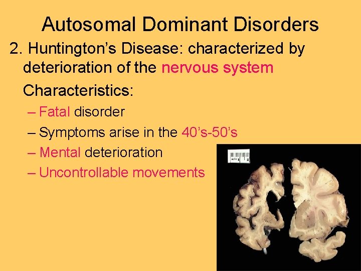 Autosomal Dominant Disorders 2. Huntington’s Disease: characterized by deterioration of the nervous system Characteristics: