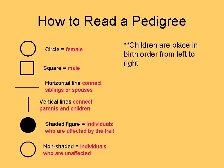 How to Read a Pedigree Circle = female Square = male Horizontal line connect How to Read a Pedigree Circle = female Square = male Horizontal line connect