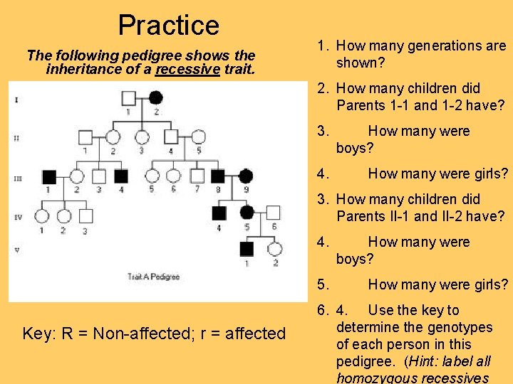 Practice The following pedigree shows the inheritance of a recessive trait. 1. How many