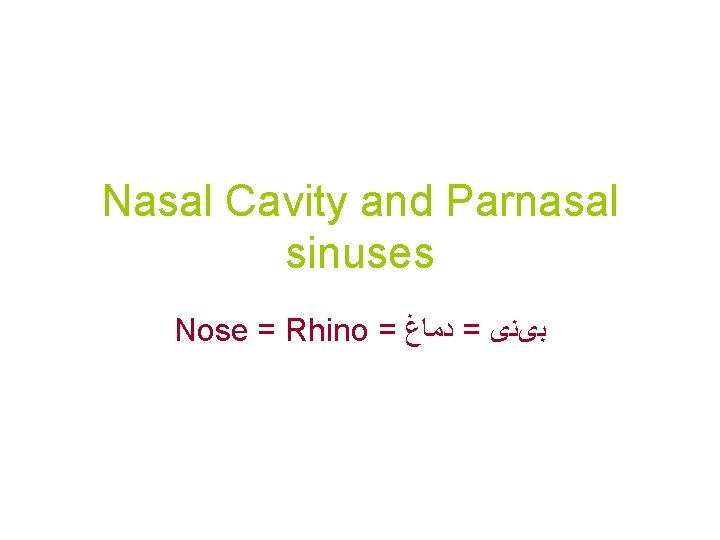 Nasal Cavity and Parnasal sinuses Nose = Rhino = ﺩﻣﺎﻍ = ﺑیﻨی 