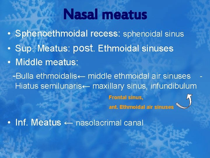 Nasal meatus • Sphenoethmoidal recess: sphenoidal sinus • Sup. Meatus: post. Ethmoidal sinuses •