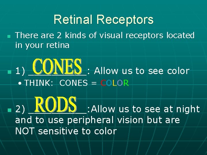 Retinal Receptors n n There are 2 kinds of visual receptors located in your