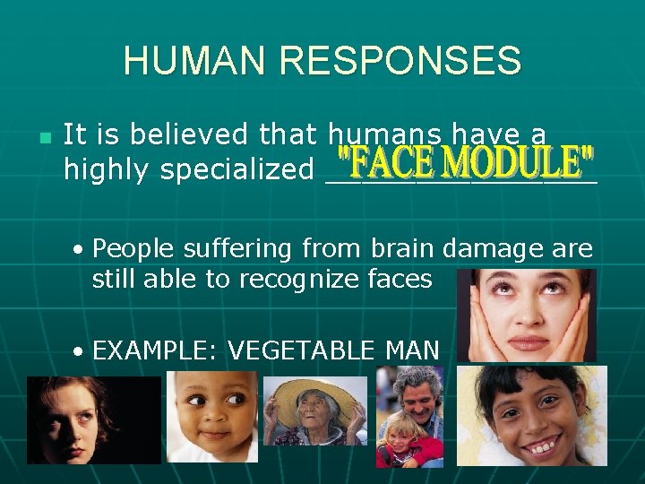HUMAN RESPONSES n It is believed that humans have a highly specialized ________ •