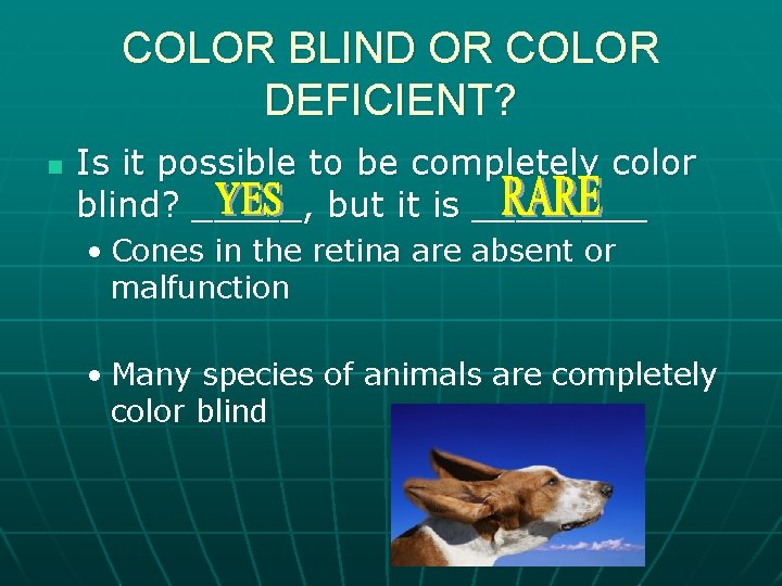 COLOR BLIND OR COLOR DEFICIENT? n Is it possible to be completely color blind?