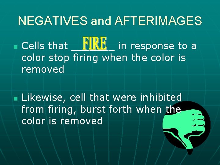 NEGATIVES and AFTERIMAGES n n Cells that _______ in response to a color stop