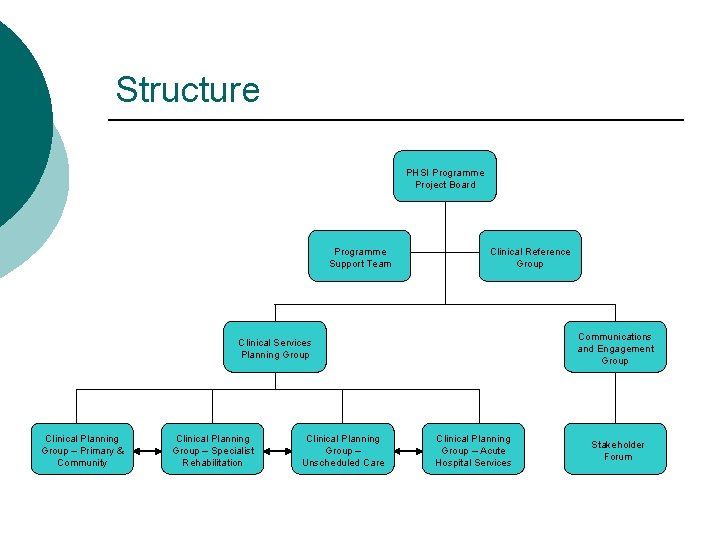 Structure PHSI Programme Project Board Programme Support Team Clinical Reference Group Communications and Engagement