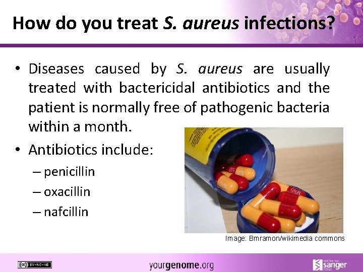 How do you treat S. aureus infections? • Diseases caused by S. aureus are