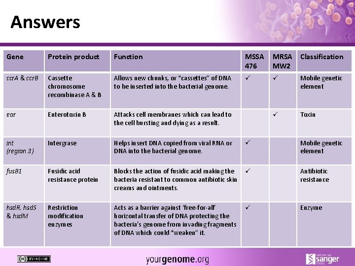 Answers Gene Protein product Function MSSA 476 MRSA MW 2 Classification ccr. A &