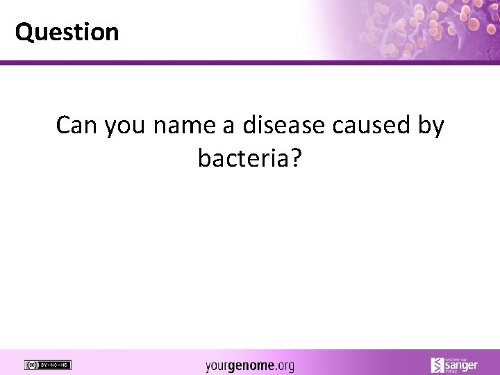 Question Can you name a disease caused by bacteria? 