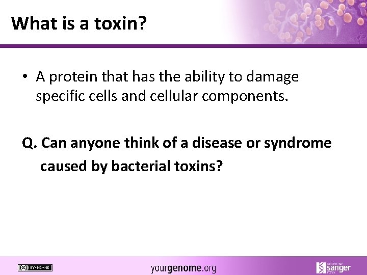 What is a toxin? • A protein that has the ability to damage specific