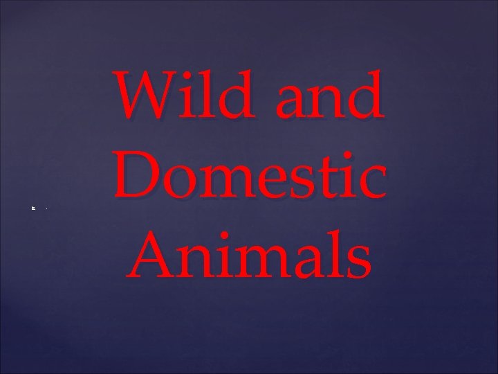  . Wild and Domestic Animals 