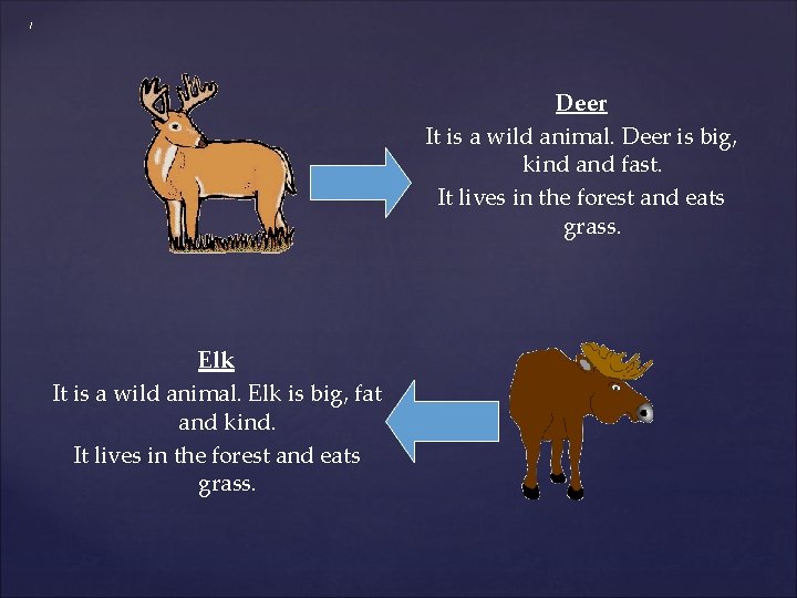 / Deer It is a wild animal. Deer is big, kind and fast. It