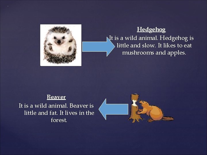 . Hedgehog It is a wild animal. Hedgehog is little and slow. It likes