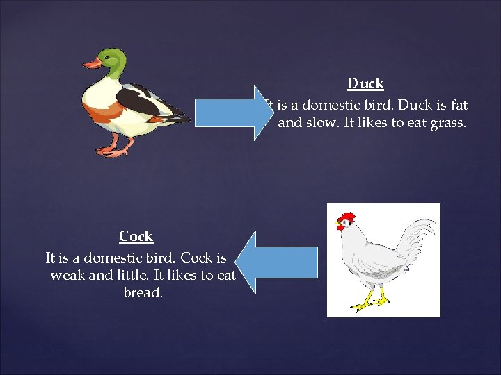 . Duck It is a domestic bird. Duck is fat and slow. It likes