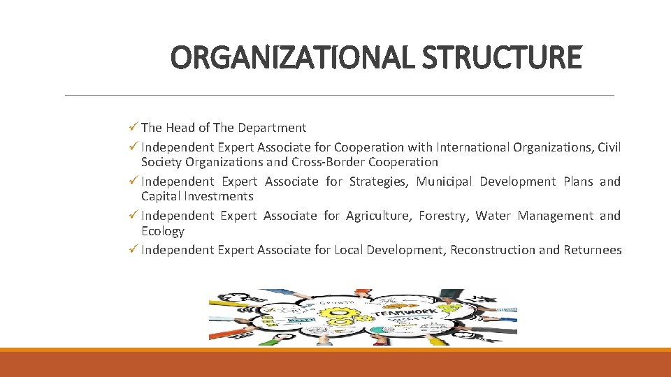 ОRGANIZATIONAL STRUCTURE ü The Head of The Department ü Independent Expert Associate for Cooperation