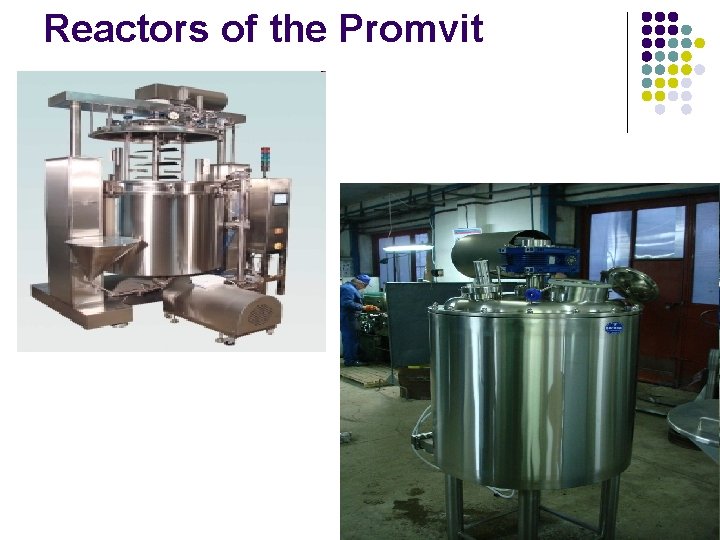 Reactors of the Promvit 