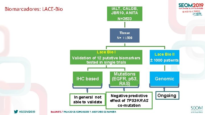 Biomarcadores: LACE-Bio IALT, CALGB, JBR 10, ANITA N=3533 Lace Bio I Validation of 12