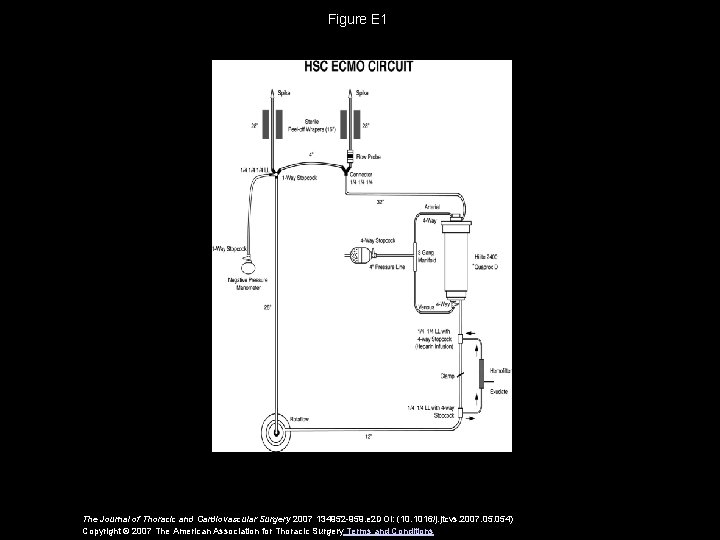 Figure E 1 The Journal of Thoracic and Cardiovascular Surgery 2007 134952 -959. e