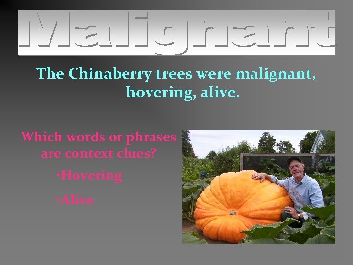 The Chinaberry trees were malignant, hovering, alive. Which words or phrases are context clues?