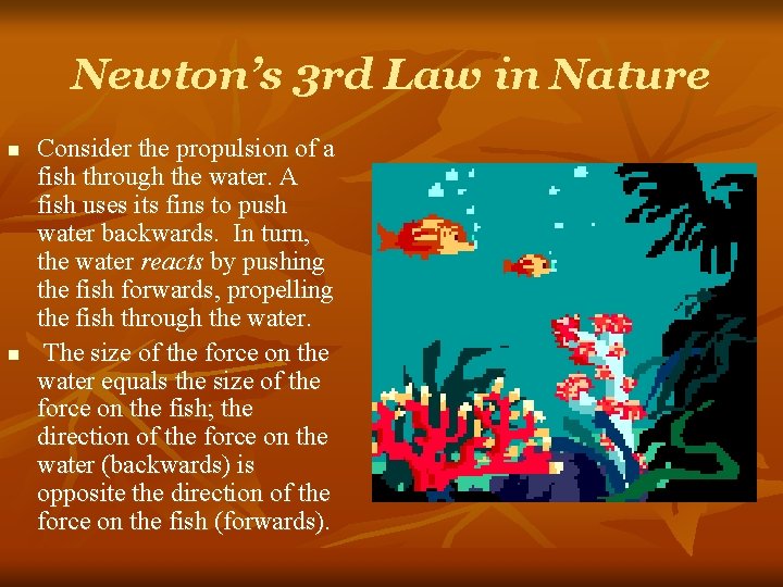 Newton’s 3 rd Law in Nature n n Consider the propulsion of a fish