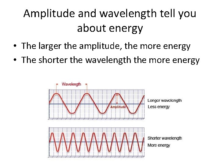 Amplitude and wavelength tell you about energy • The larger the amplitude, the more