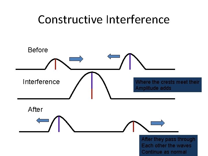 Constructive Interference Before Interference Where the crests meet their Amplitude adds After they pass