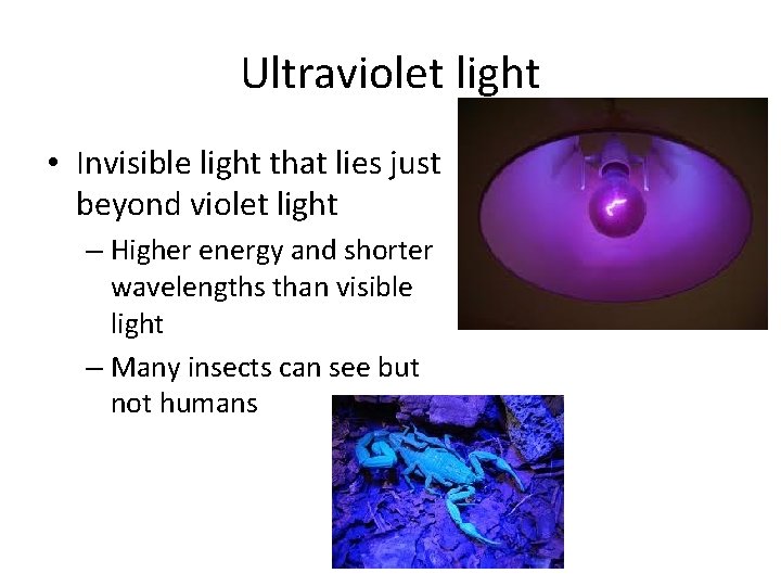 Ultraviolet light • Invisible light that lies just beyond violet light – Higher energy